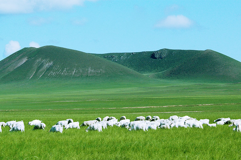 Xilingol Grassland