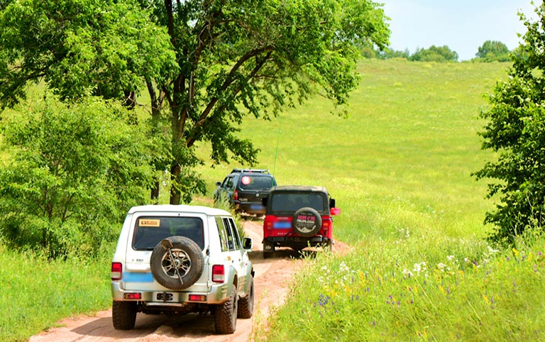 Grassland Jeep Safari