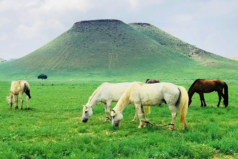 inner mongolia tour package from malaysia