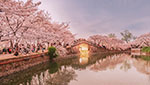 5 Days Jiangsu Tour - Suzhou, Wuxi and Nanjing in One Go