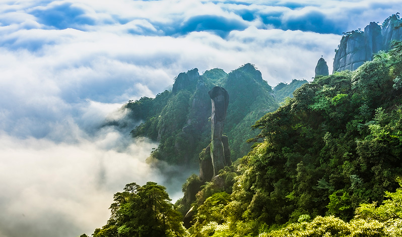Sanqing Mountain
            