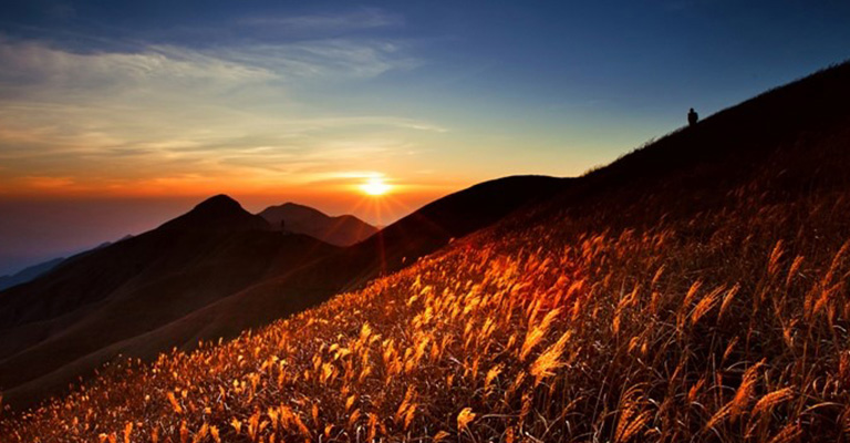 Alpine Meadow in Autumn