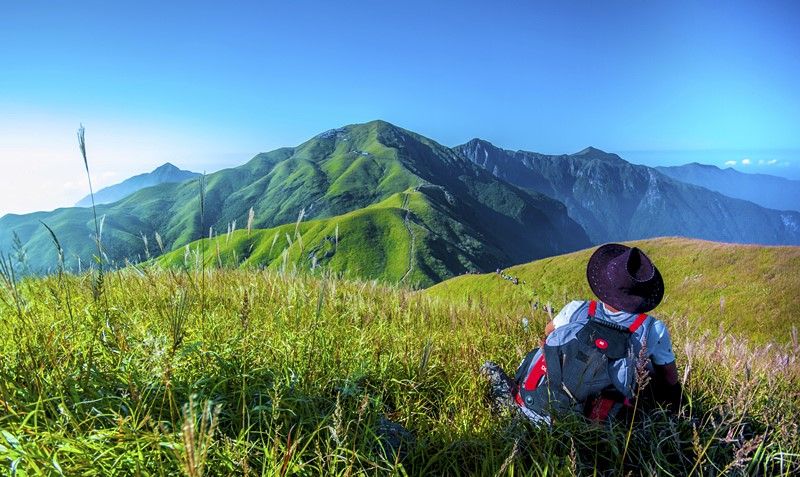 Alpine Meadow in May