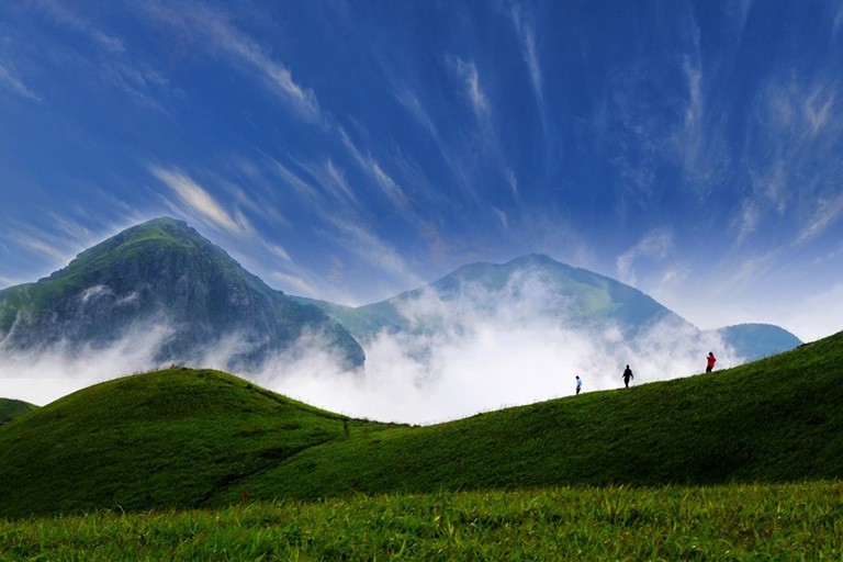 Alpine Meadow in Spring