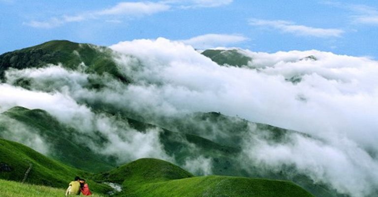 Alpine Meadow in Summer