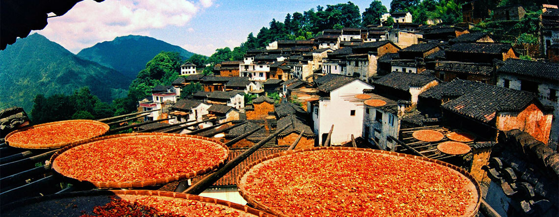 2 Days Wuyuan Visual Feast Tour 2024