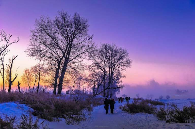 Winter Rime Scenery at Zengtongtun