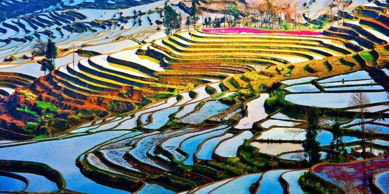 Yuanyang Rice Terraces in Winter