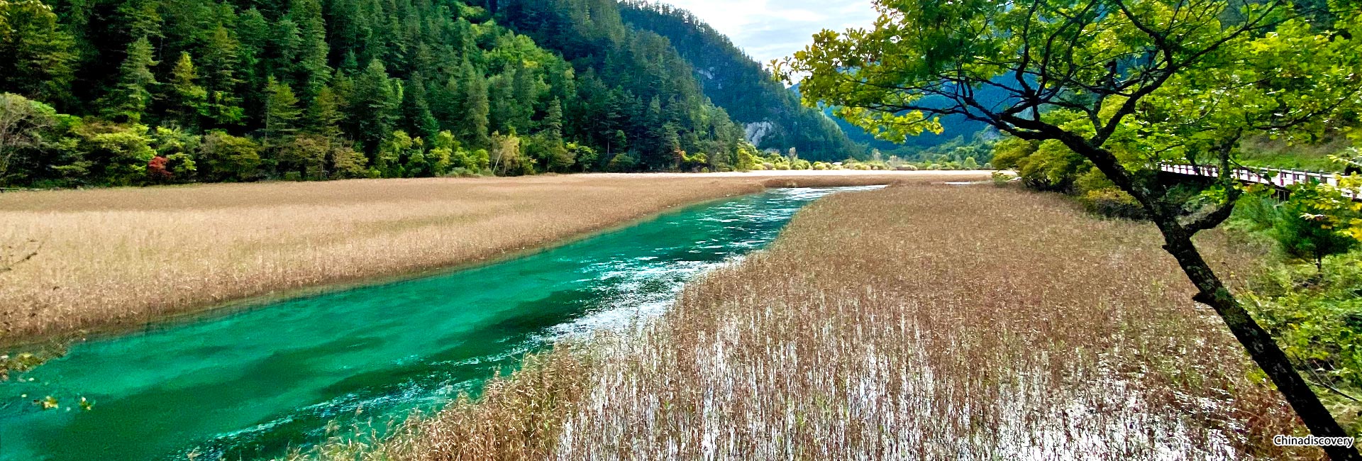 5 Days Chengdu Jiuzhaigou Comfortable Tour