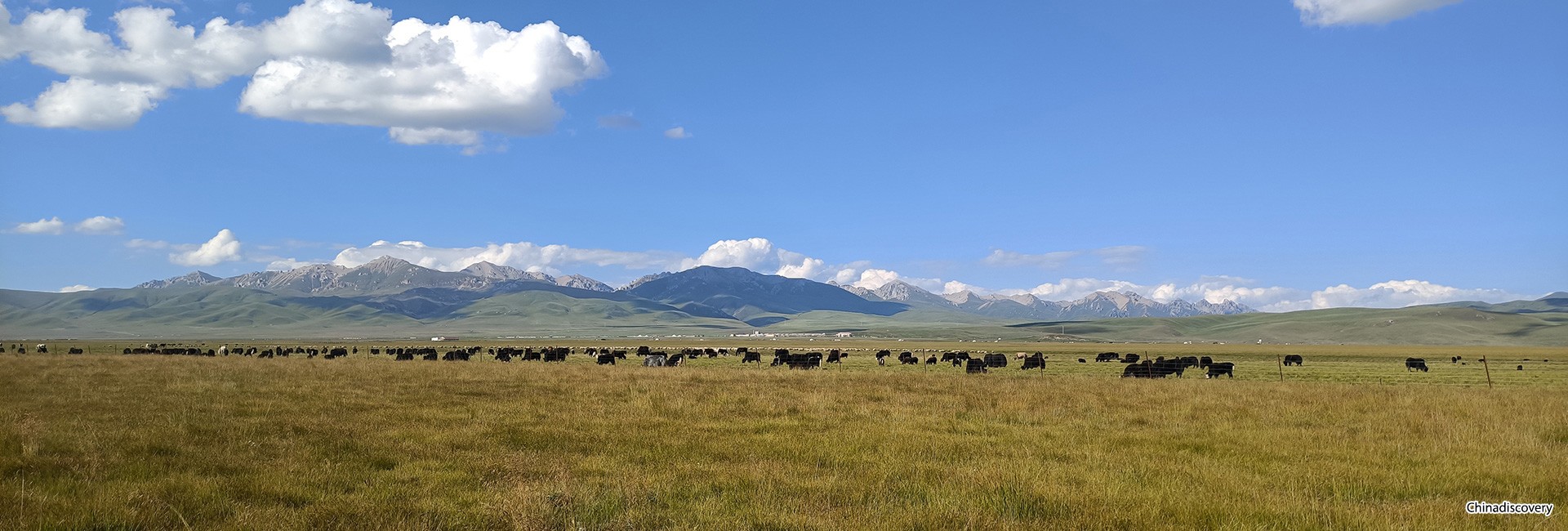 7 Days Jiuzhaigou Ruoergai Prairie Langmu Temple Tour