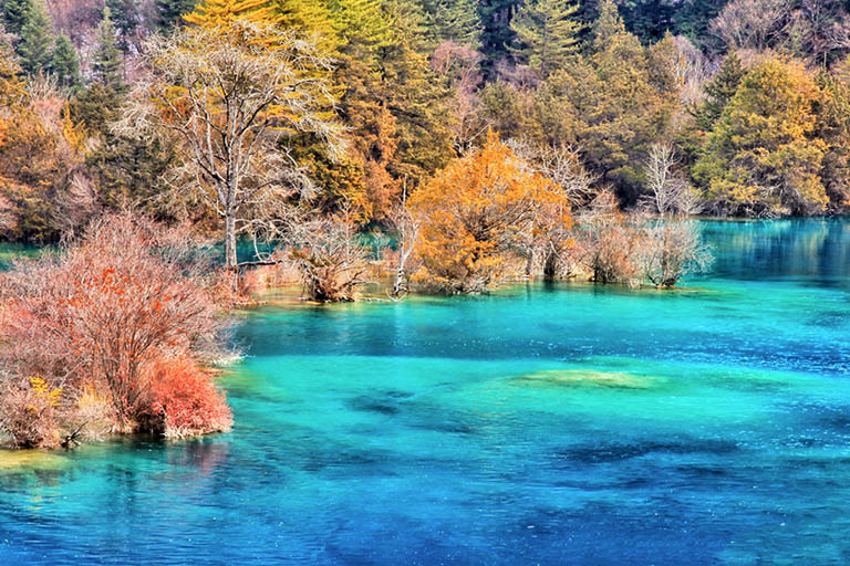 Beautiful Sparkling Lake in Jiuzhaigou Jiuzhaigou Altitude and Huanglong Altitude