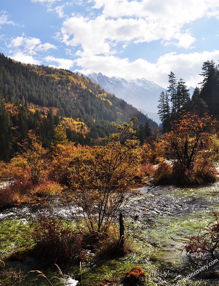 Jiuzhaigou in Autumn Jiuzhaigou Autumn