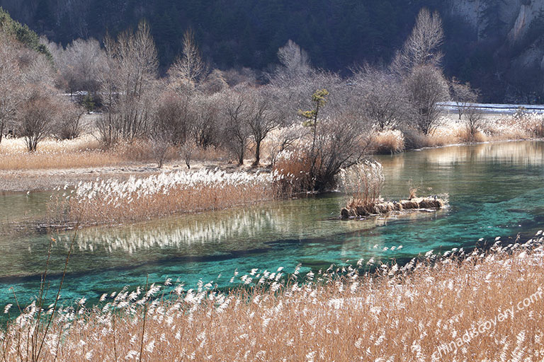 Chengdu to Jiuzhaigou Transportation - Tour Plan