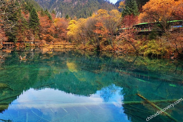 Jiuzhaigou Autumn