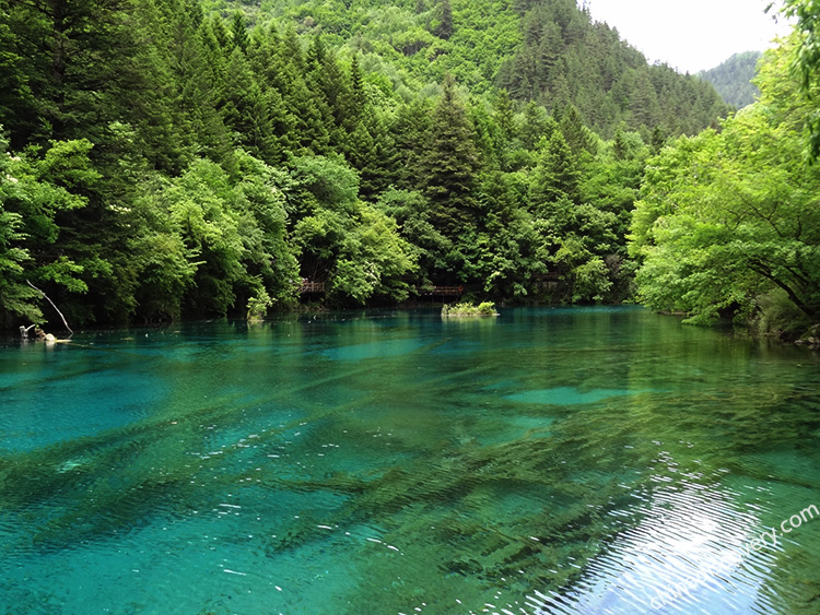 Jiuzhaigou Landscape in Spring Jiuzhaigou Spring