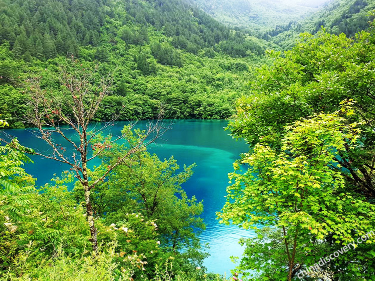 Jiuzhaigou Landscape in Spring Jiuzhaigou Spring
