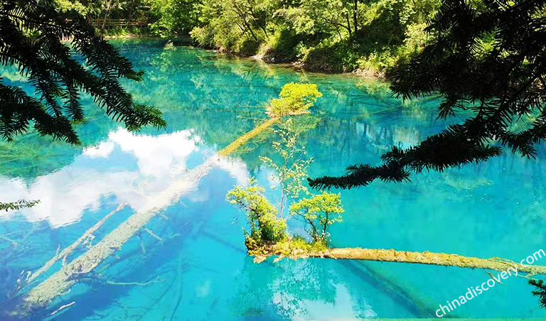 Lakes of Jiuzhaigou in Summer Jiuzhaigou Summer