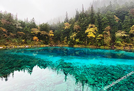 Jiuzhaigou Autumn