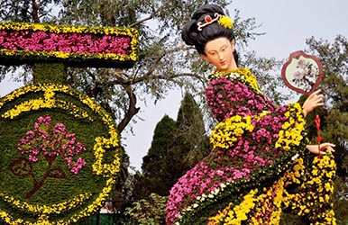 Attend a Kaifeng Chrysanthemum Exhibition