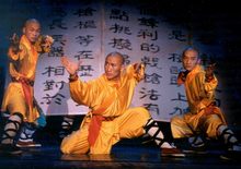 Shaolin Kungfu