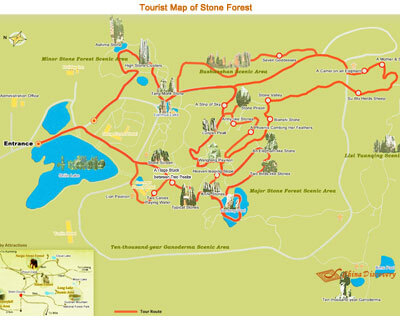Stone Forest Map
