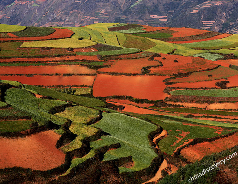 Dongchuan Red Land