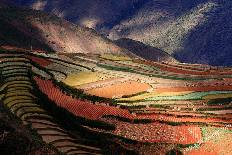 Dongchuan Red Land