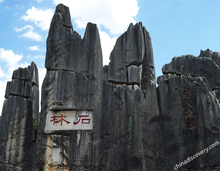 Stone Forest