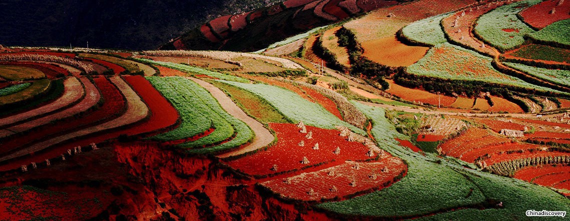 Kunming Dongchuan Red Land Tour