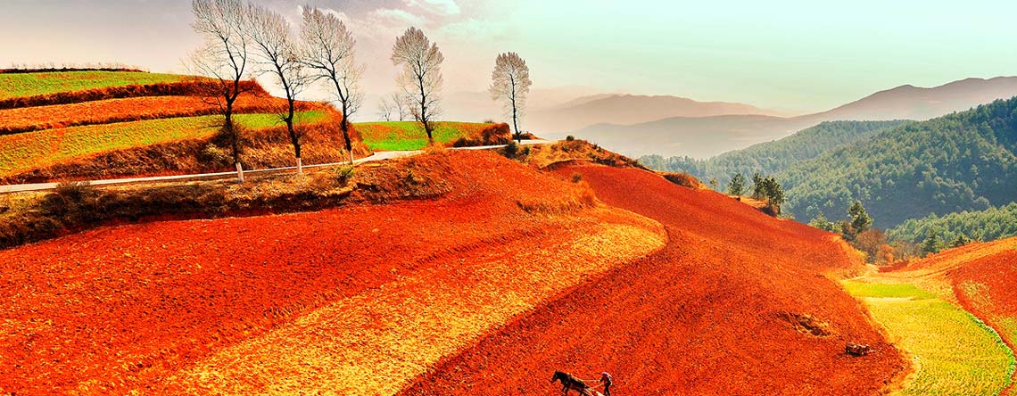 Dongchuan Red Land