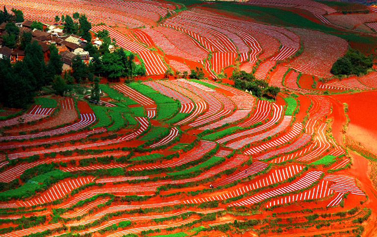 Dongchuan Red Land Amazing Color in May 