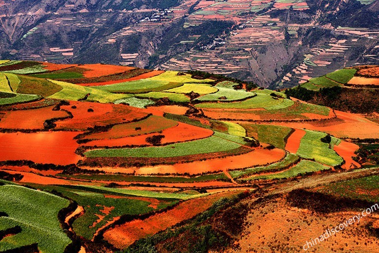 Dongchuan Red Land Amazing Color in May 