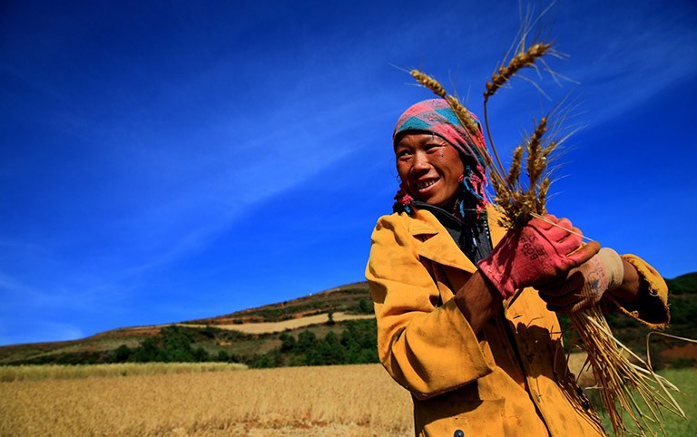 Local People at Dongchuan Red Land