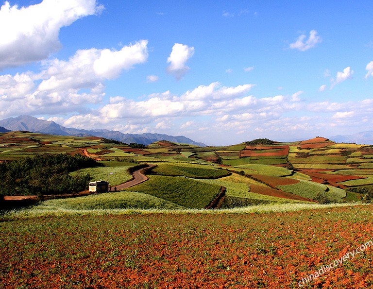 Farming fields with different colors in Le Pu Ao
