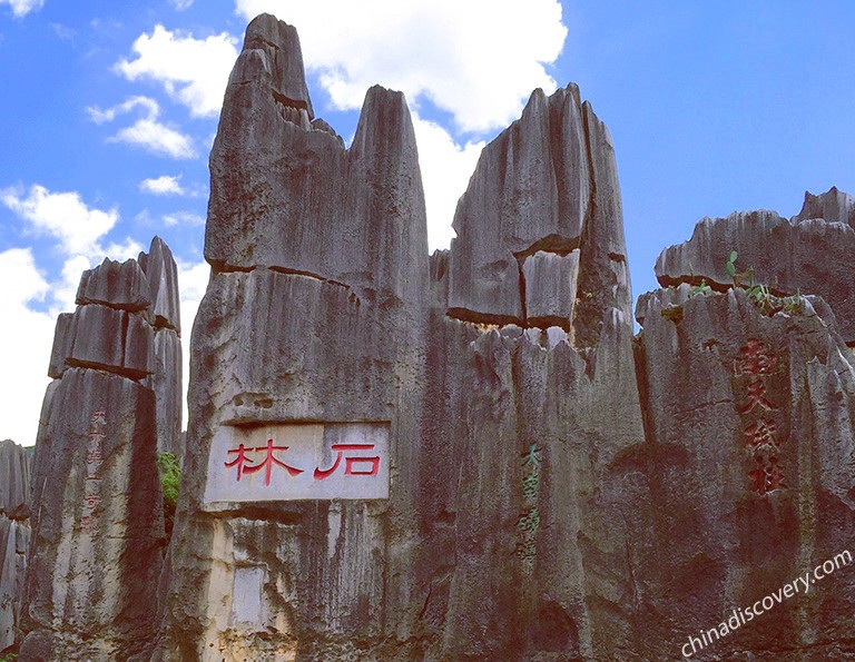 Major Stone Forest