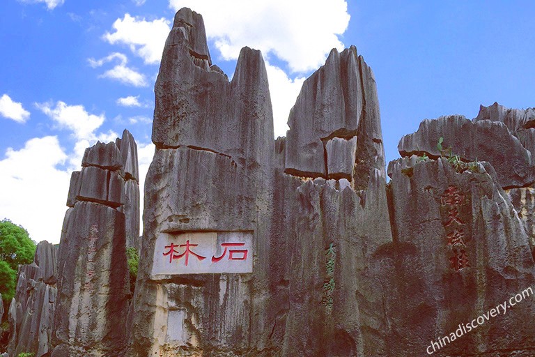 Major Stone Forest