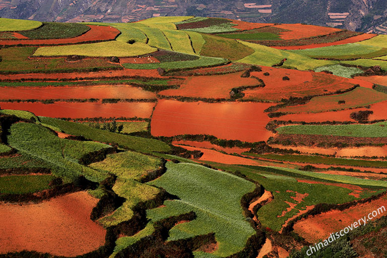 Dongchuan Red Land