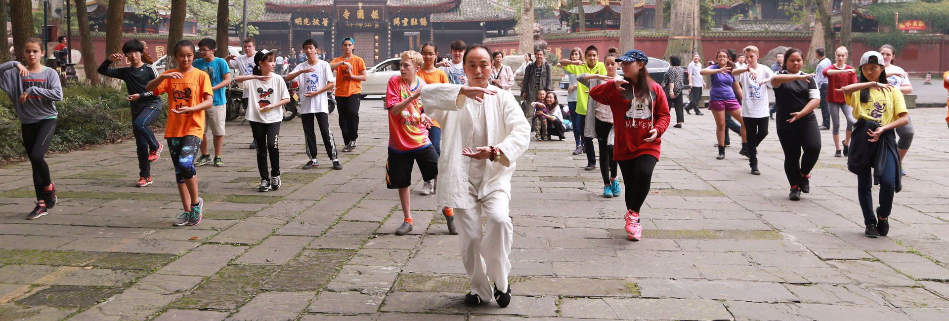 3 Days Mount Emei Leshan Giant Buddha Highlights Tour with Emei Kung Fu Class