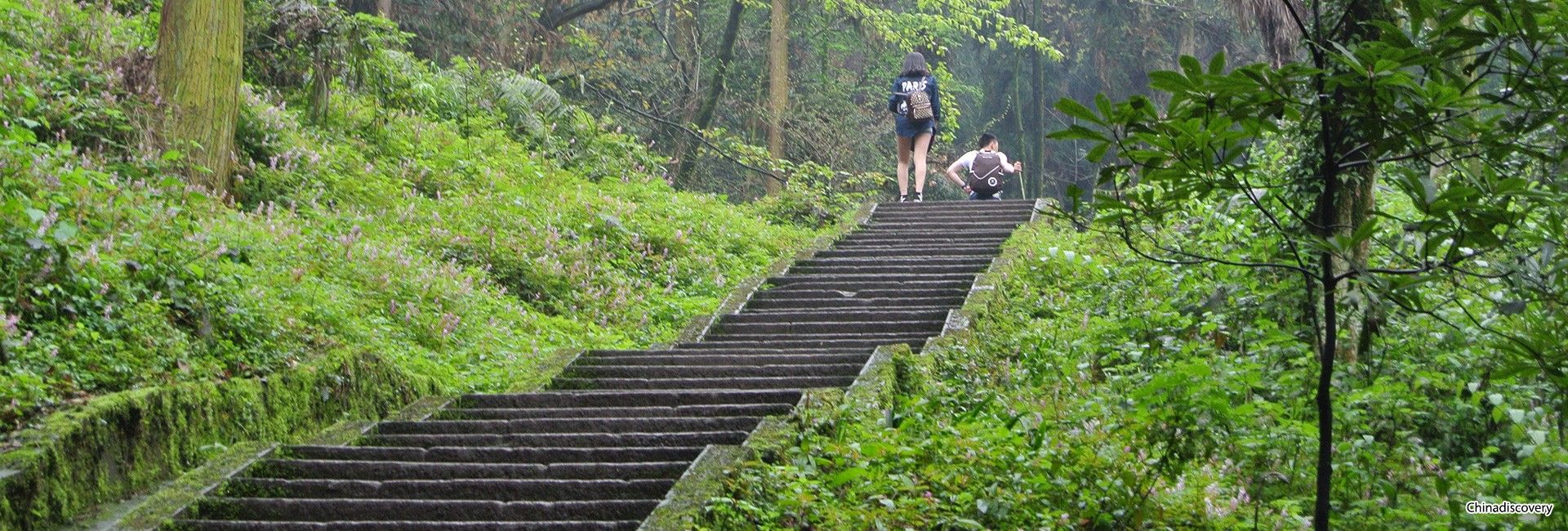 3 Days Mount Emei Classic Walking Tour with Moderate Pace