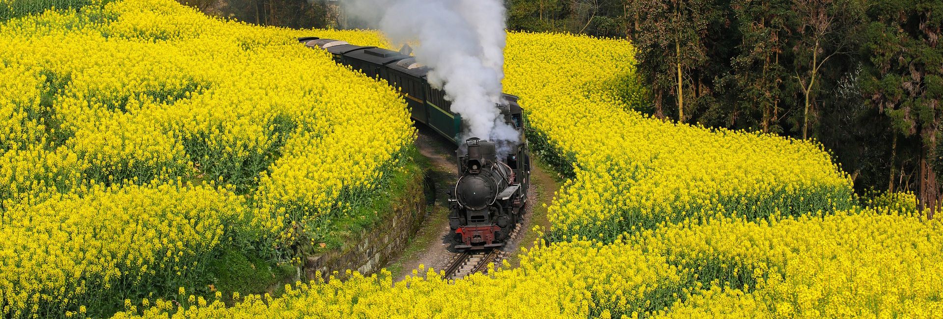 2 Days Leshan Giant Buddha Visit with Jiayang Steam Train Experience