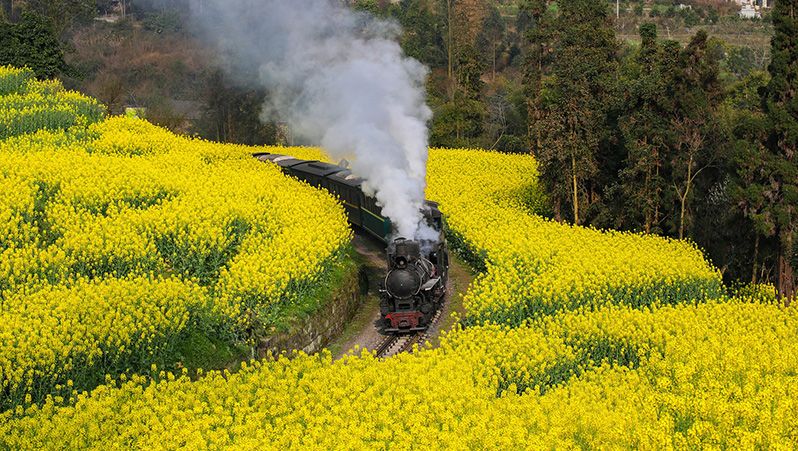 Jiayang Steam Train