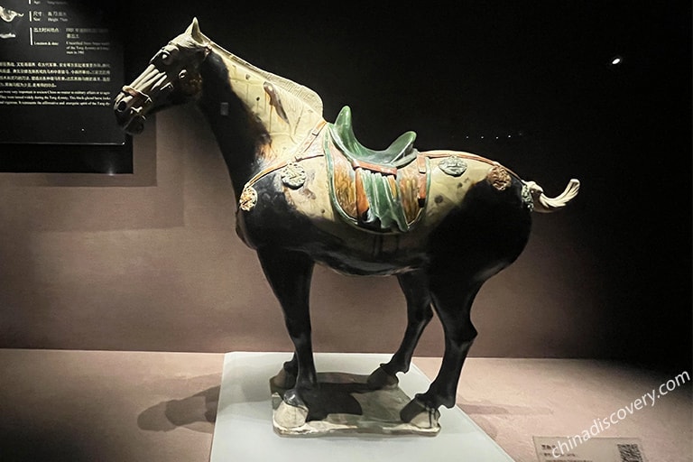 Treasures in Luoyang Museum Things to Do in Luoyang