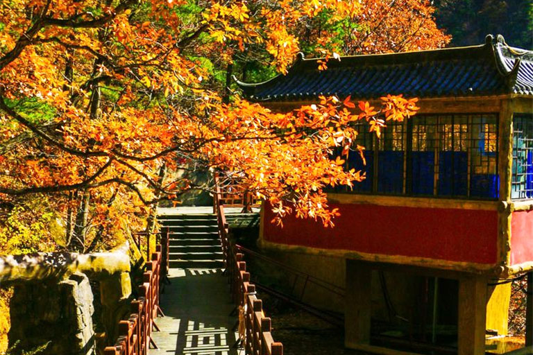 Autumn in Luoyang