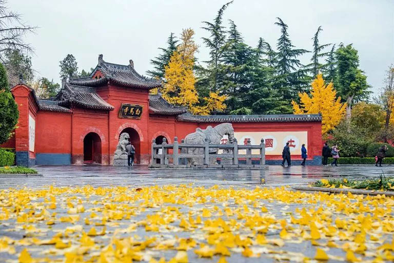 White Horse Temple Luoyang Family Activities