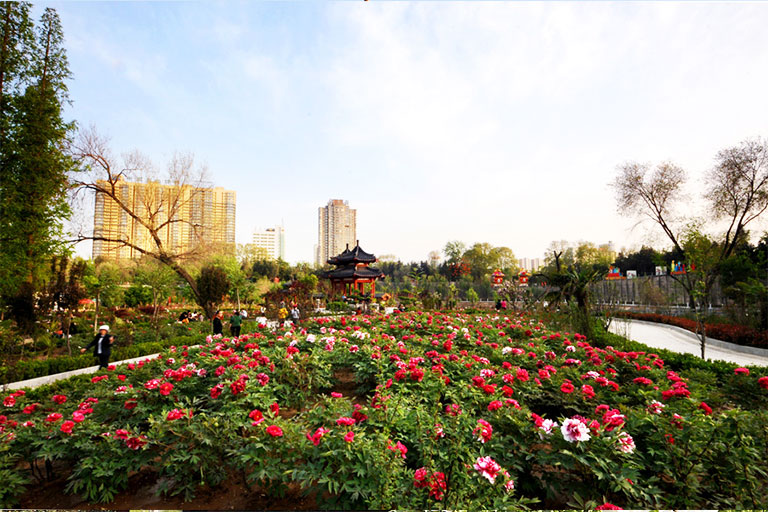 Top Attractions in Luoyang