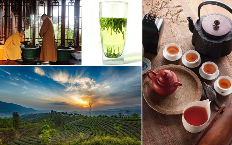 Emeishan Tea Emeishan Tea