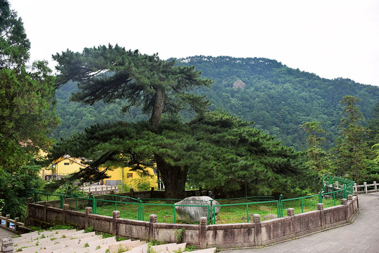 Mount Jiuhua Hiking