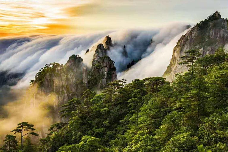 Mount Huangshan Yellow Mountain Huangshan Jiuhuashan Tour