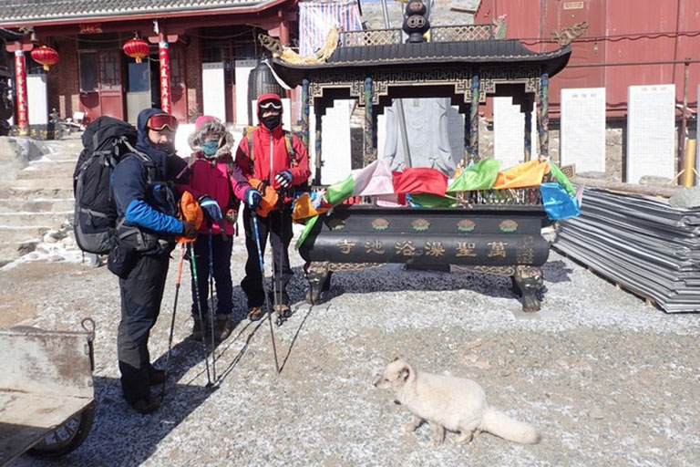 Encounter a Fox during the Hike Mount Wutai Activities