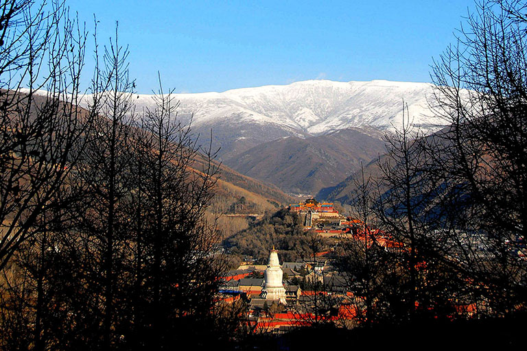 Tayuan Temple Mount Wutai Activities
